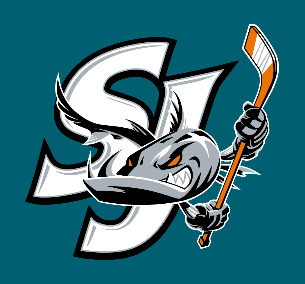 San Jose Barracuda 2015-2018 Alternate Logo v2 iron on heat transfer